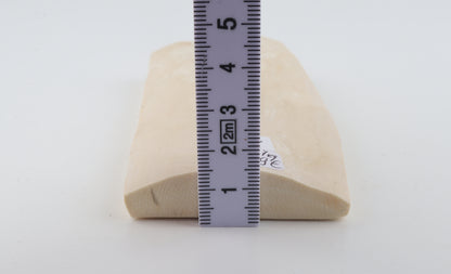 White mammoth ivory piece