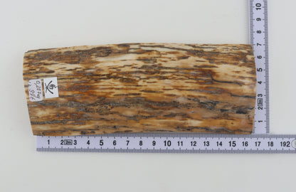 Natural mammoth bark