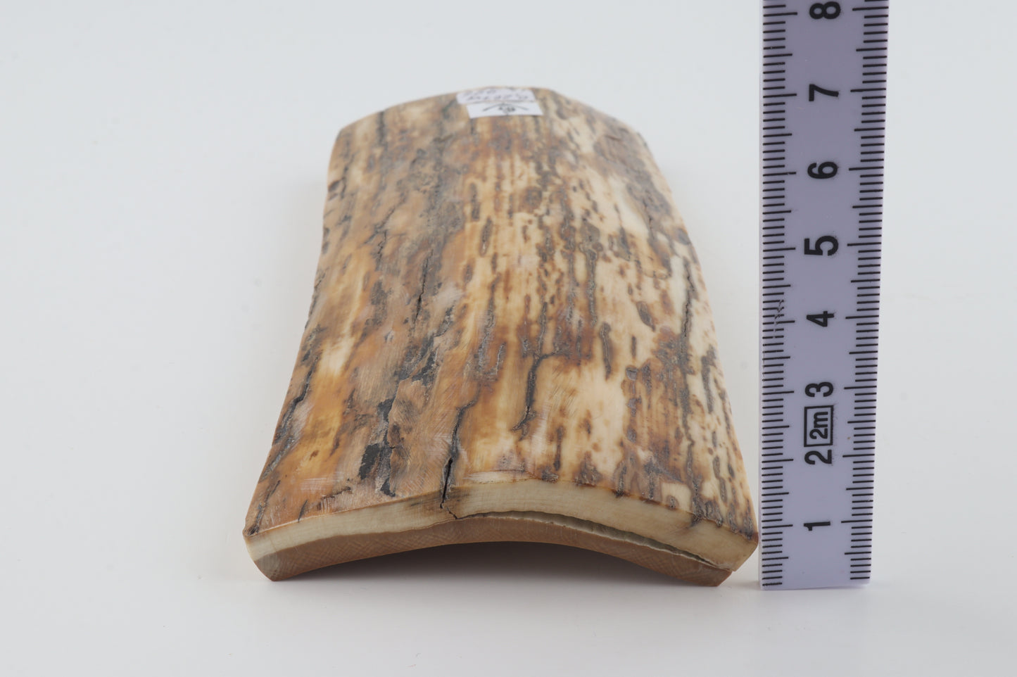 Natural mammoth bark