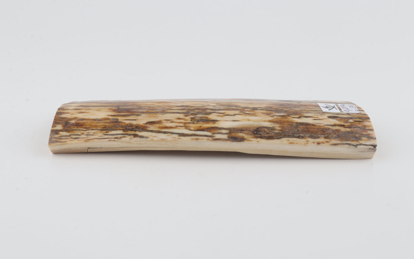 Natural mammoth bark
