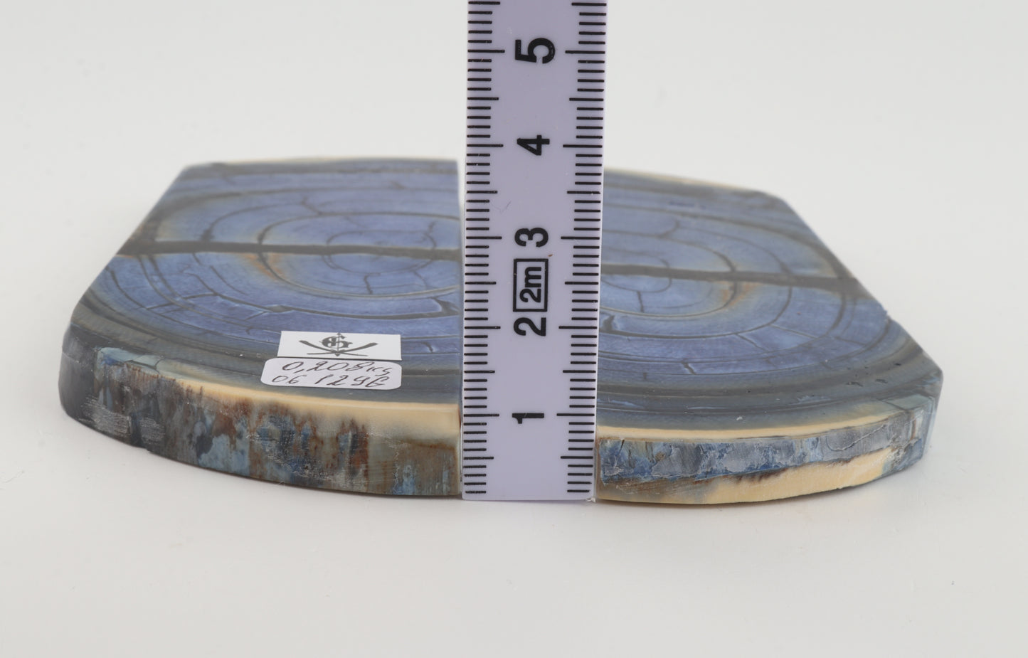 Stabilized mammoth ivory scales