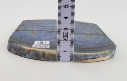 Stabilized mammoth ivory scales