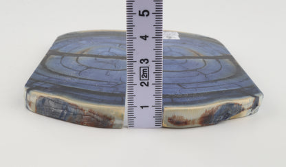 Stabilized mammoth ivory scales