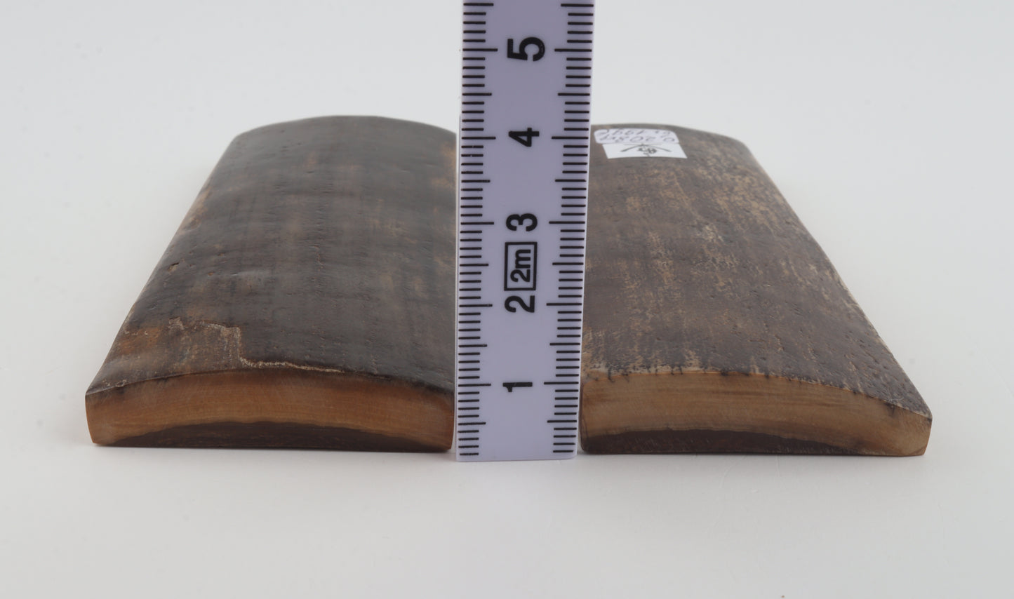 Natural mammoth bark scales