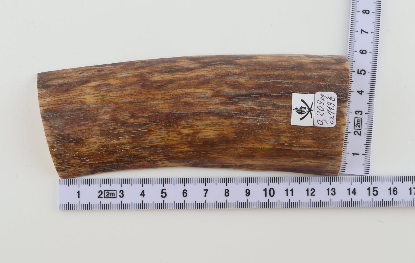 Natural mammoth ivory piece