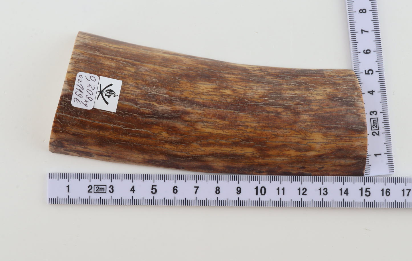 Natural mammoth ivory piece