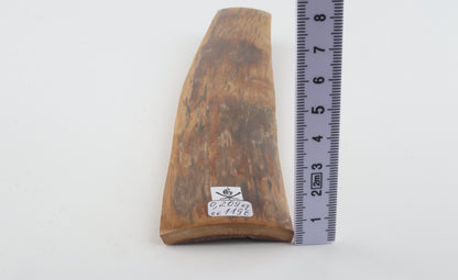 Natural mammoth bark