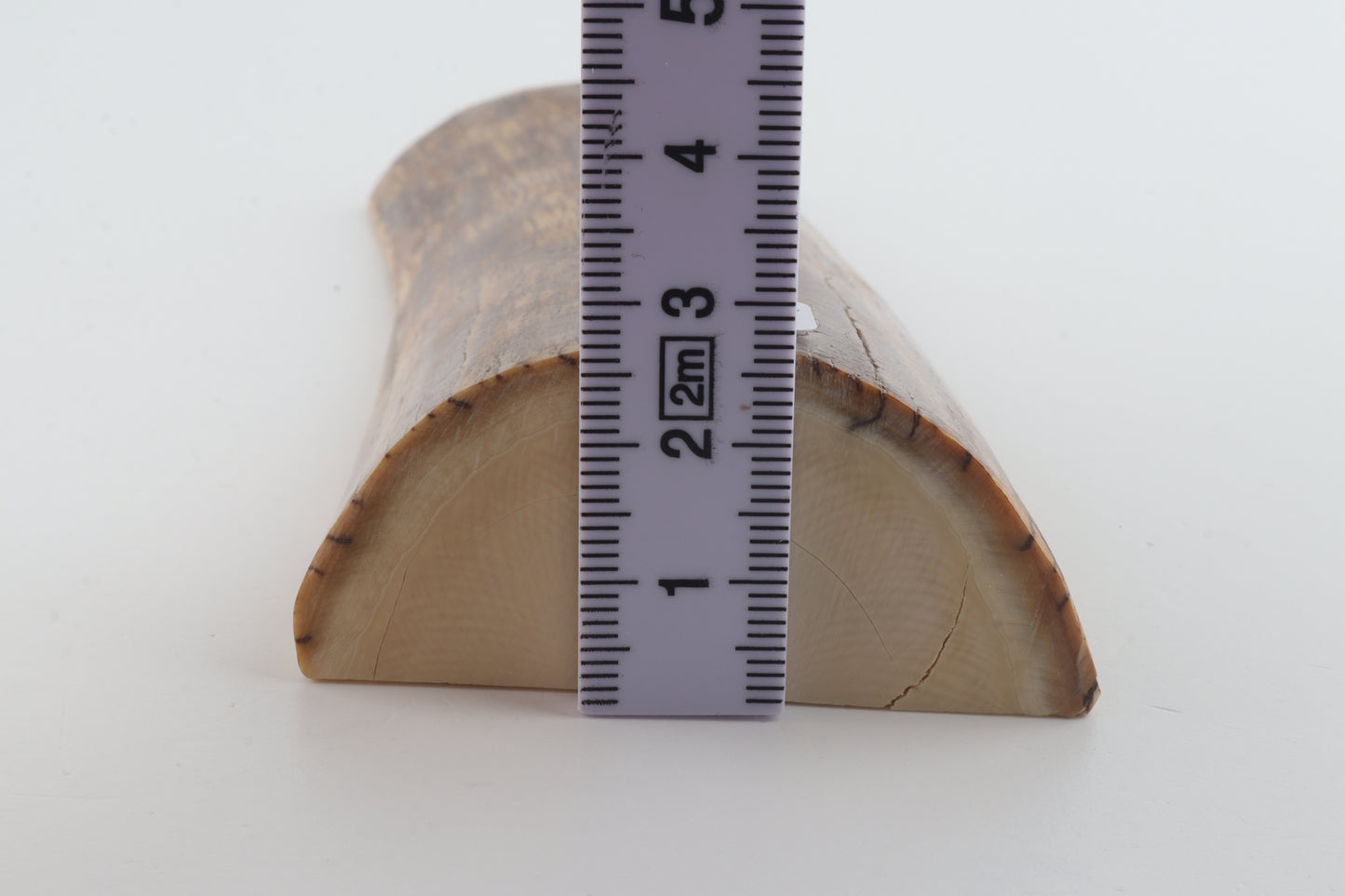 Natural mammoth ivory piece