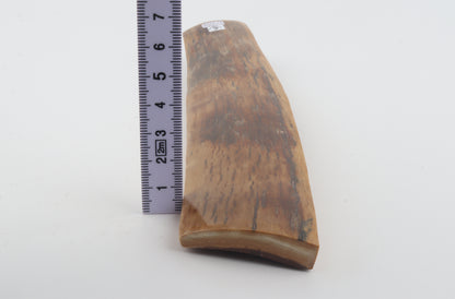 Natural mammoth bark
