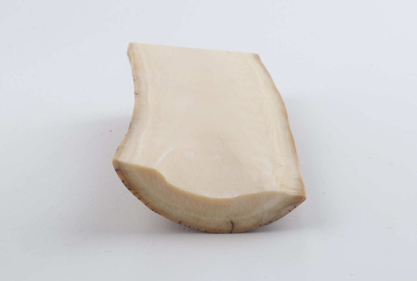 Natural mammoth ivory piece