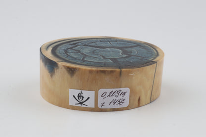 Stabilized mammoth ivory piece