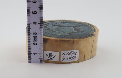 Stabilized mammoth ivory piece