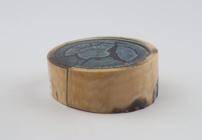 Stabilized mammoth ivory piece