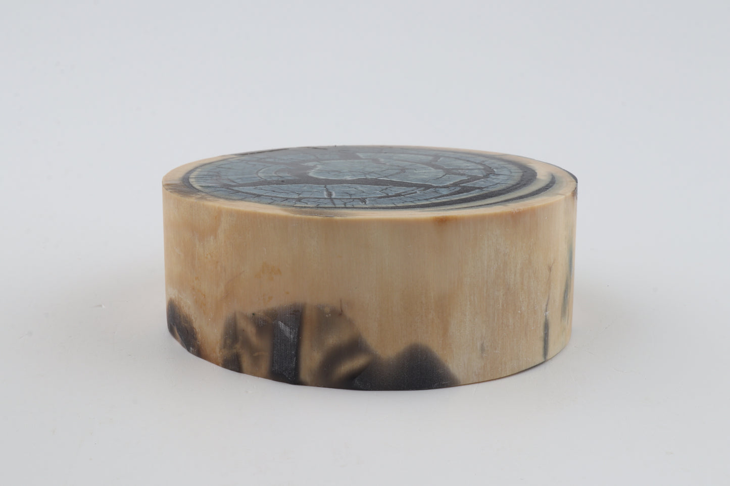 Stabilized mammoth ivory piece
