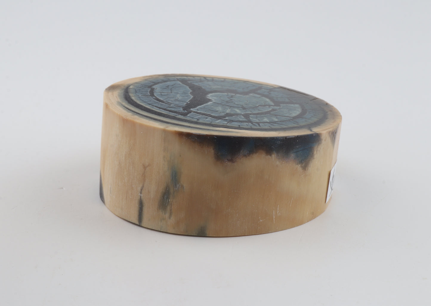 Stabilized mammoth ivory piece