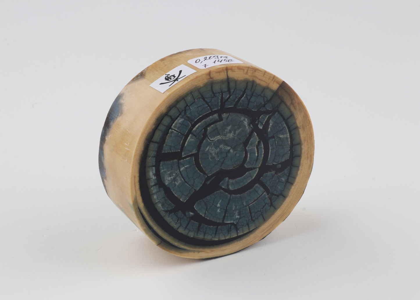 Stabilized mammoth ivory piece