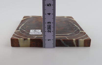 Stabilised mammoth ivory scales