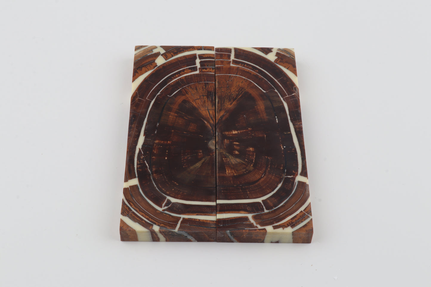 Stabilised mammoth ivory scales