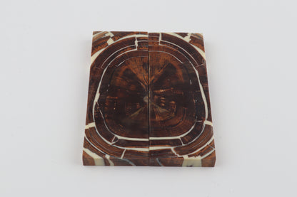 Stabilised mammoth ivory scales