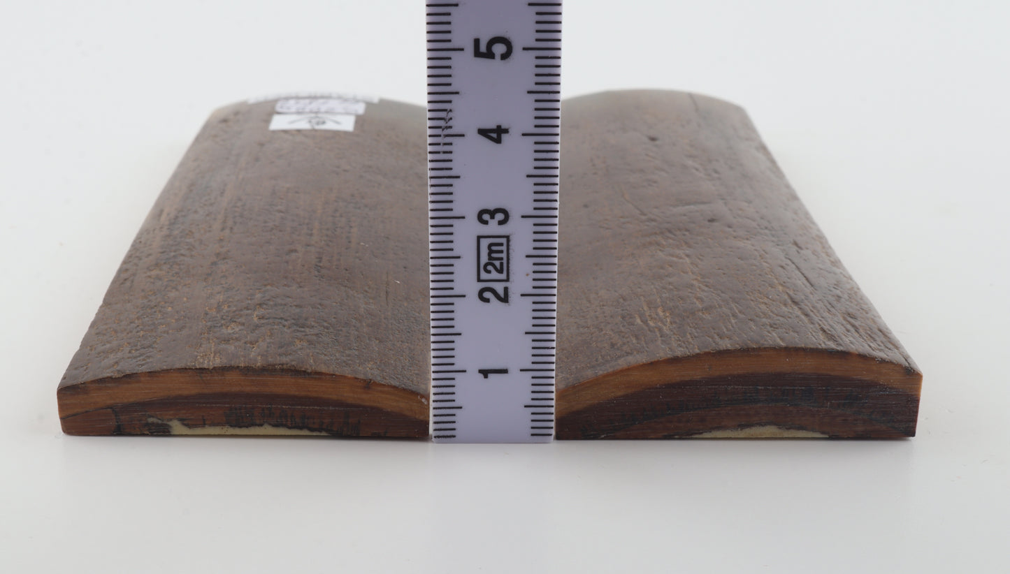Stabilised mammoth bark scales