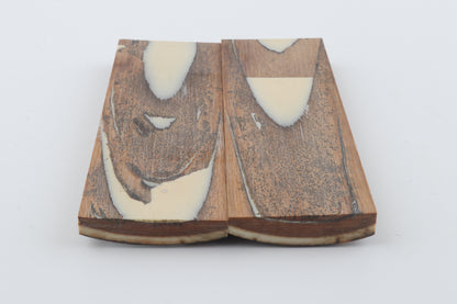 Stabilised mammoth bark scales