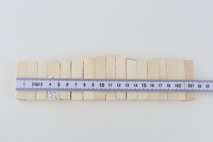 White mammoth ivory segments