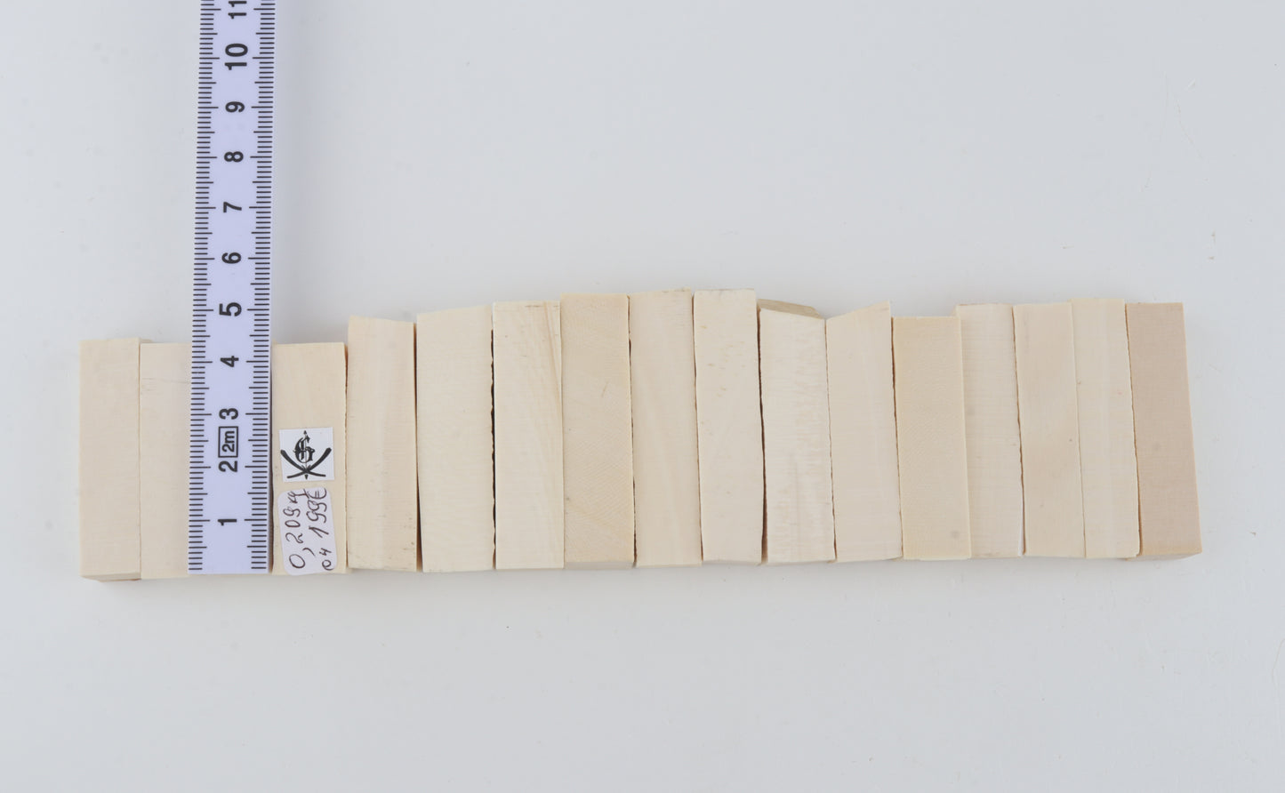White mammoth ivory segments