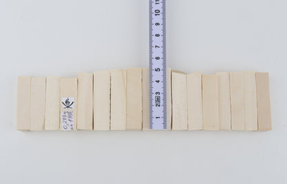 White mammoth ivory segments