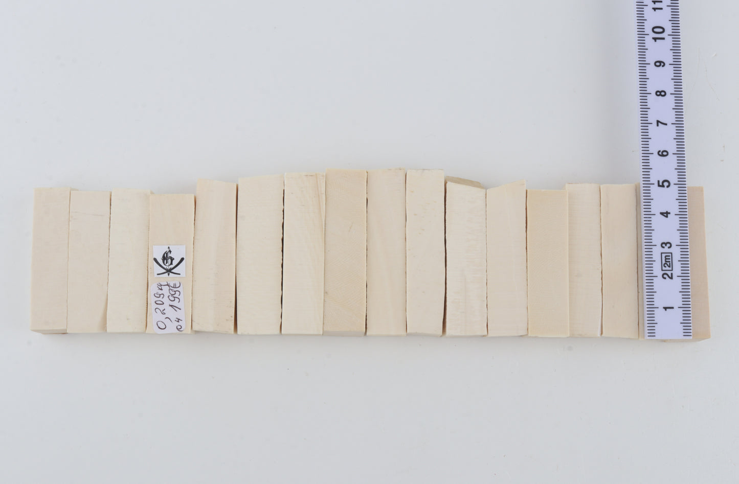 White mammoth ivory segments