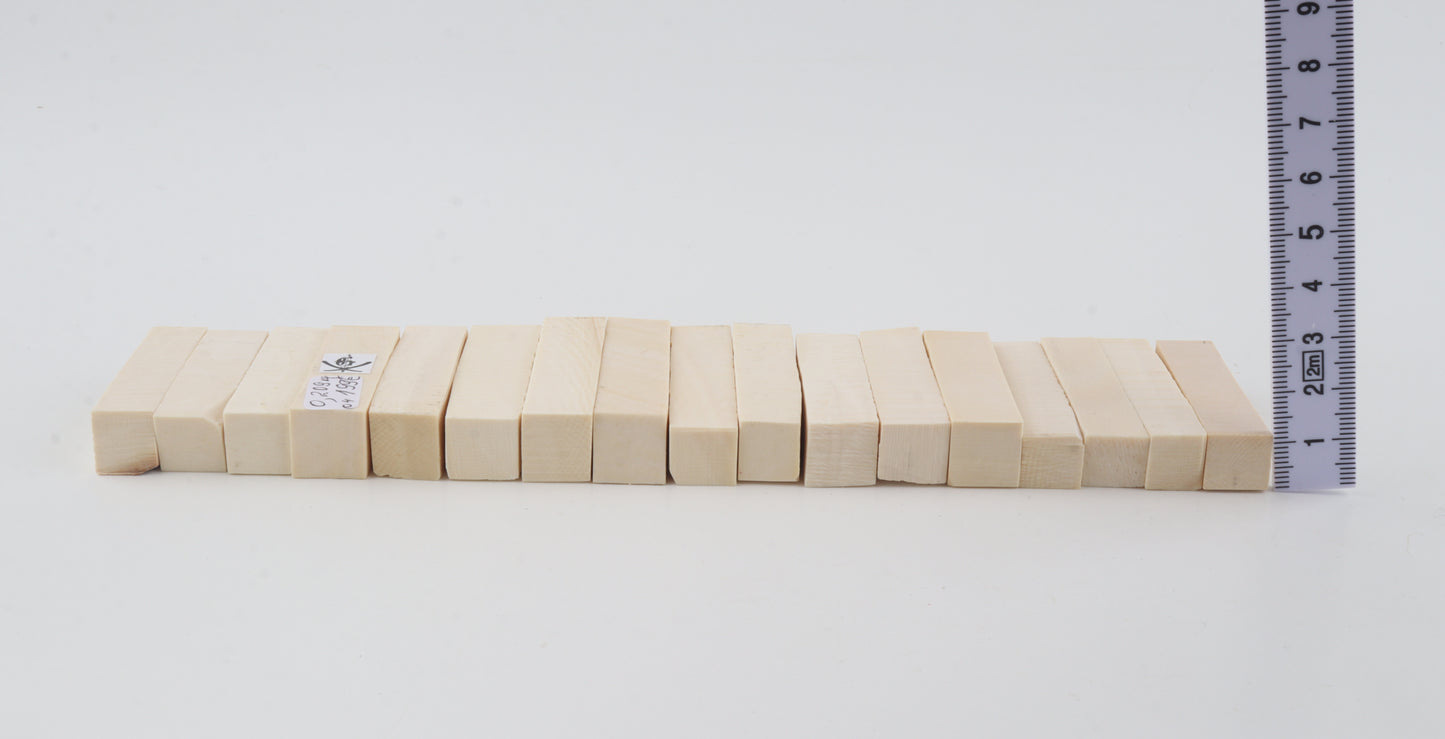 White mammoth ivory segments