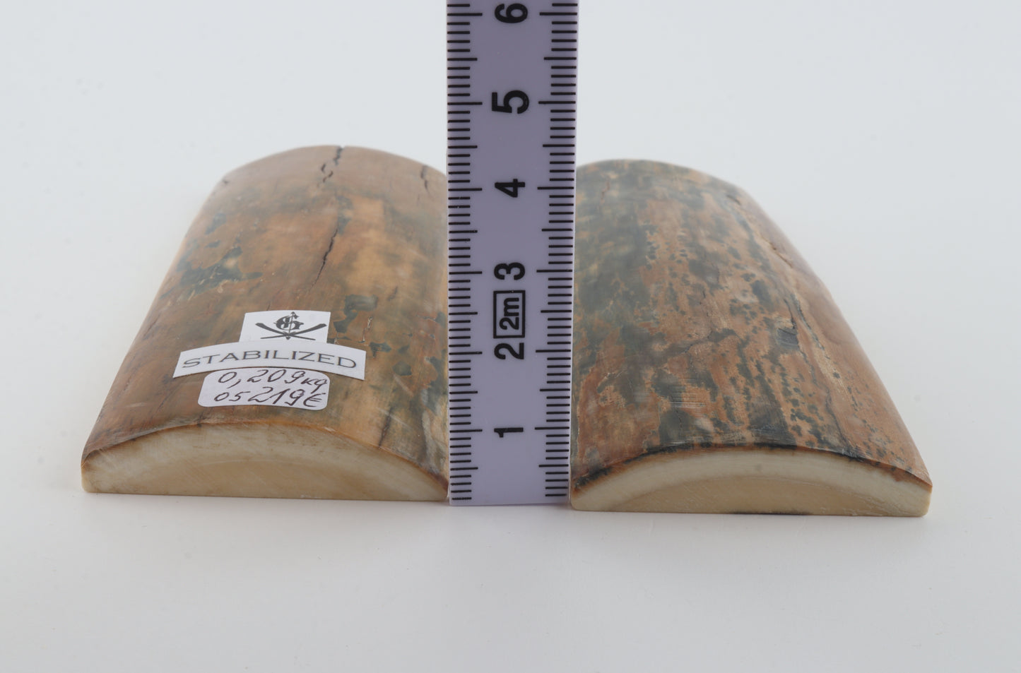 Stabilised mammoth bark scales