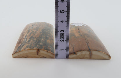 Stabilised mammoth bark scales