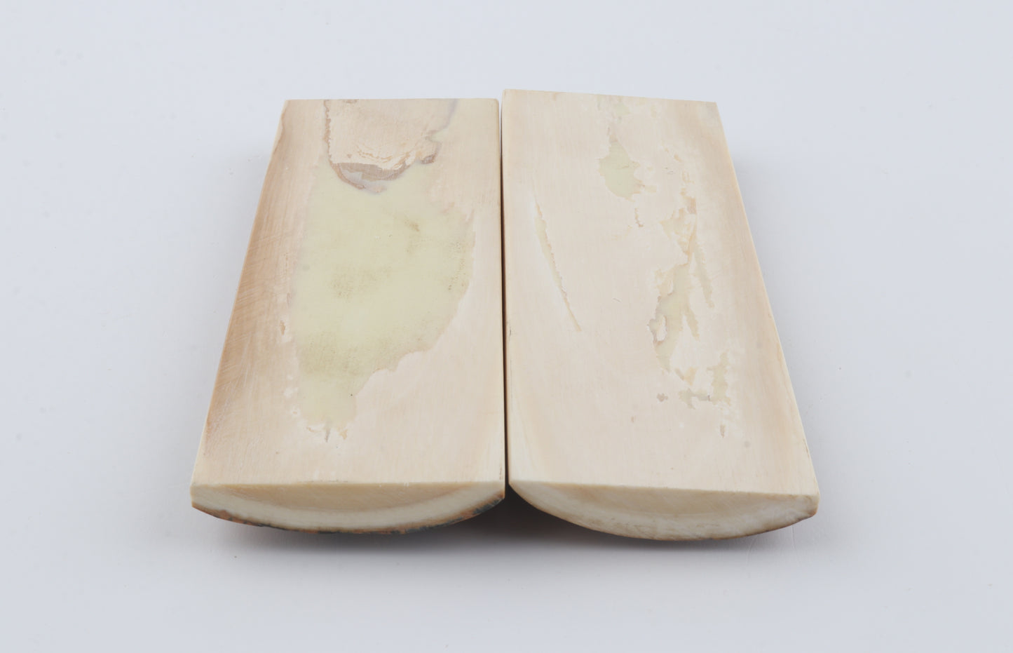 Stabilised mammoth bark scales