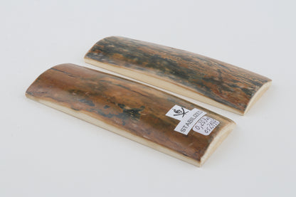 Stabilised mammoth bark scales