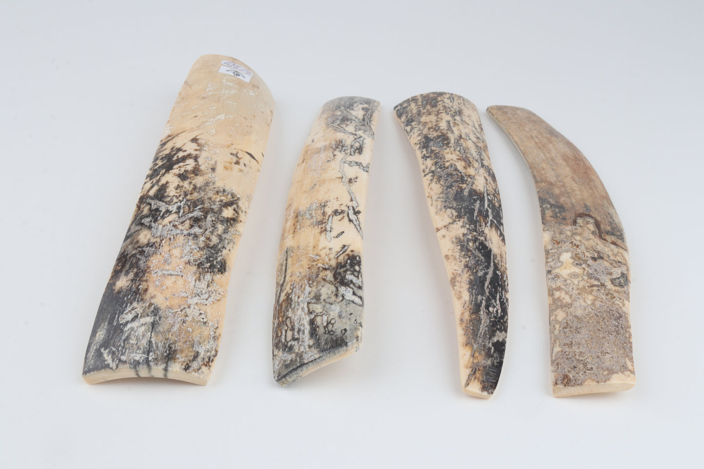 Natural mammoth bark pieces