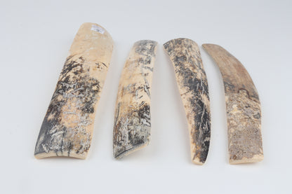 Natural mammoth bark pieces