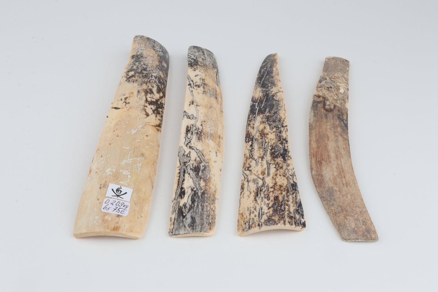 Natural mammoth bark pieces