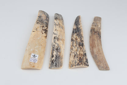 Natural mammoth bark pieces