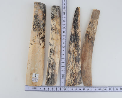 Natural mammoth bark pieces