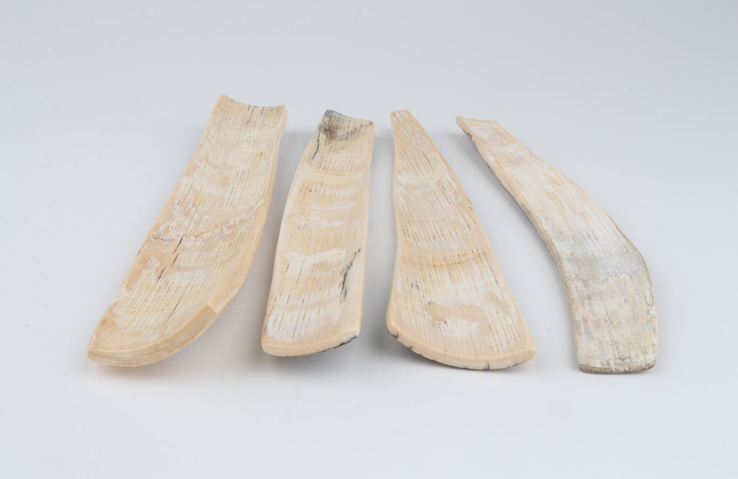 Natural mammoth bark pieces