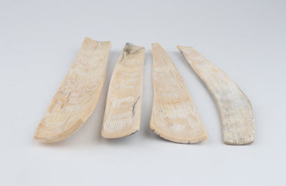 Natural mammoth bark pieces