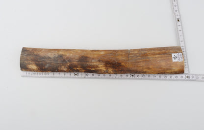 Natural woolly mammoth bark