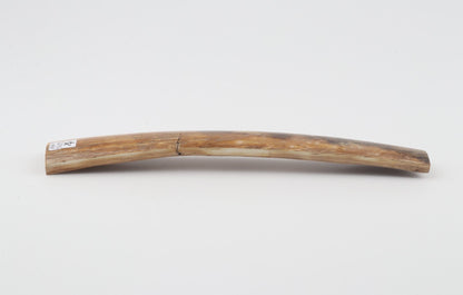 Natural woolly mammoth bark