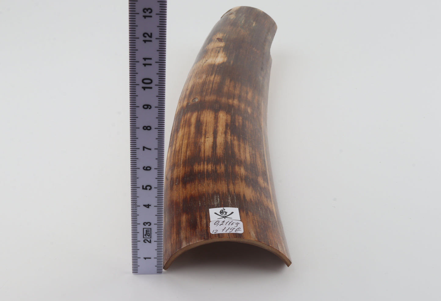 Brown-orange mammoth bark