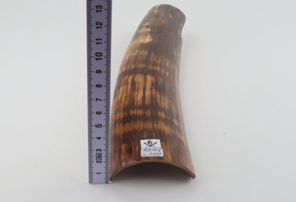 Brown-orange mammoth bark