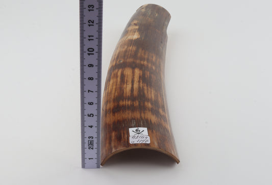 Brown-orange mammoth bark