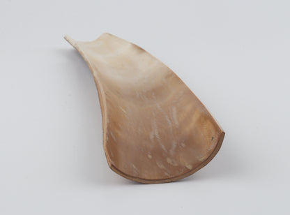 Brown-orange mammoth bark