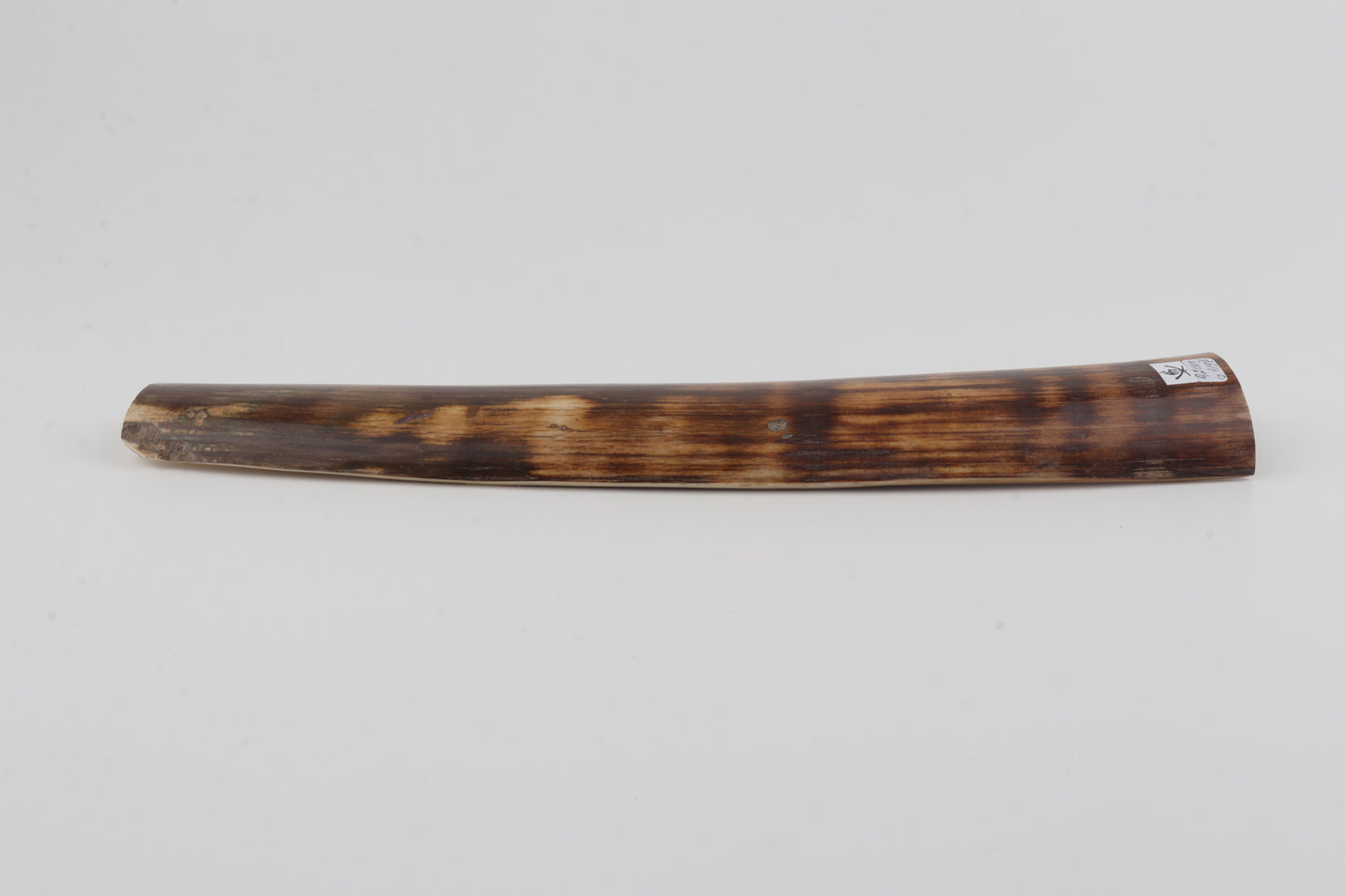 Brown-orange mammoth bark