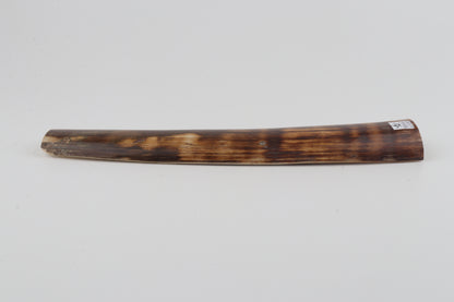 Brown-orange mammoth bark