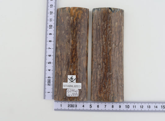 Stabilised mammoth bark scales